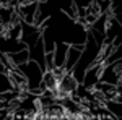 Ad Noctum (DK) : Jus Primae Noctis